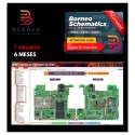 Activación Borneo Schematics 6 meses